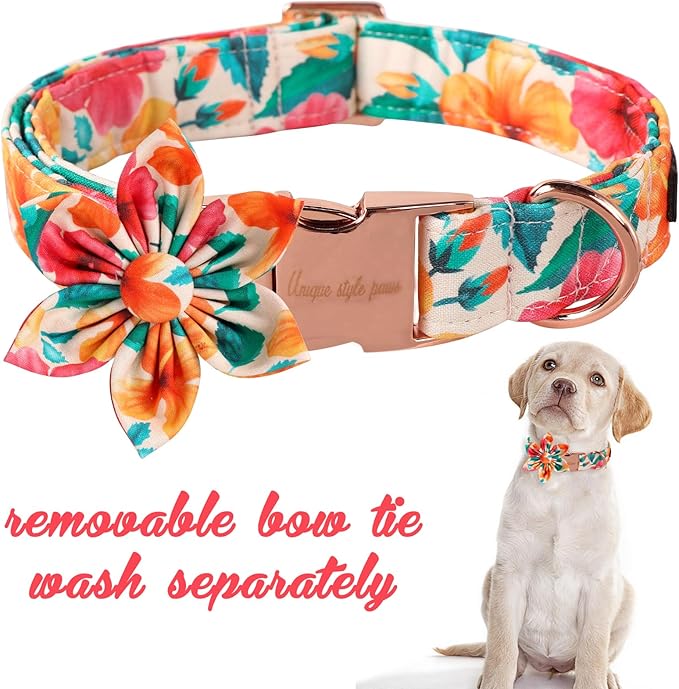 Unique Style Paws Cotton Dog Collar with Bow