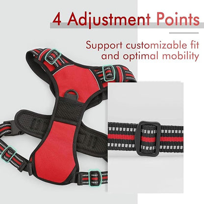 rabbitgoo Dog Harness 2 Leash