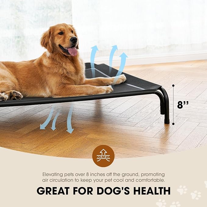 Elevated Dog Bed