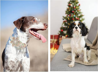 Unique style paws Dog Collar with Flower Tie