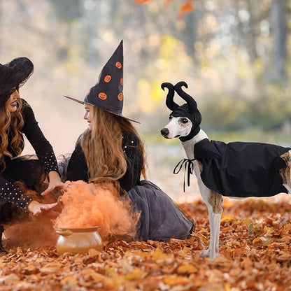 Dog Halloween Witch Costume Dog Wizard Cape Cat Vampire Devil Horns Hat Headwear Pet Halloween Cloak Outfit for Small Middle-Sized Dog