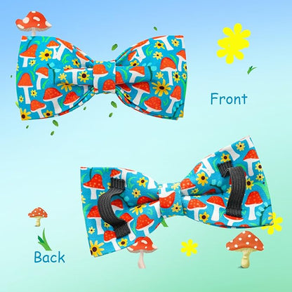 Lionheart glory Dog Collar Fall Dog Collars