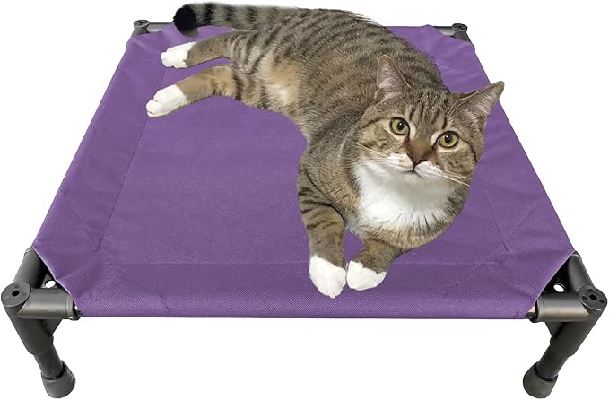 Love&go Elevated Dog Bed with Metal Frame Small-18.5x18.5x5.5 inch)