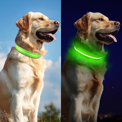 Led Dog Collar for Night Walking
