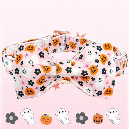 Elegant little tail Fall Dog Collar