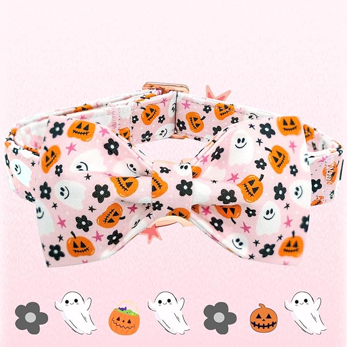 Elegant little tail Fall Dog Collar