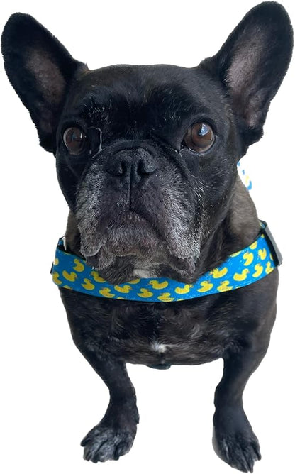 BULLHUG Harness – Made for Larger Chested Dogs Like English Bulldogs