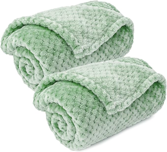 Dog Blanket or Cat Blanket or Pet Blanket (S/24" x 32", Mint)