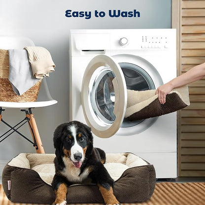 Miguel Dog Bed with Removable Cushion/Pillow for Medium Small Dogs 35 Inch