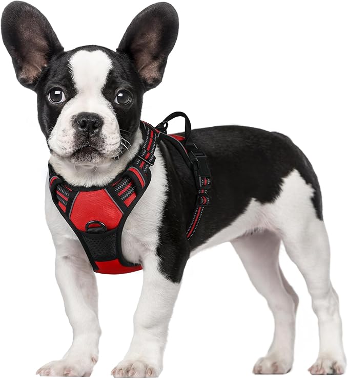 rabbitgoo Dog Harness, No-Pull Pet Harness with 2 Leash Clips, Adjustable Soft Padded Dog Vest, Reflective No-Choke Pet Oxford Vest with Easy Control Handle for Small Dogs, Red, S