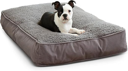 South Pine Porch Buddy Rectangle Pillow Style Dog Bed (24" x 36")