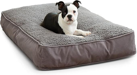 South Pine Porch Buddy Rectangle Pillow Style Dog Bed (24" x 36")