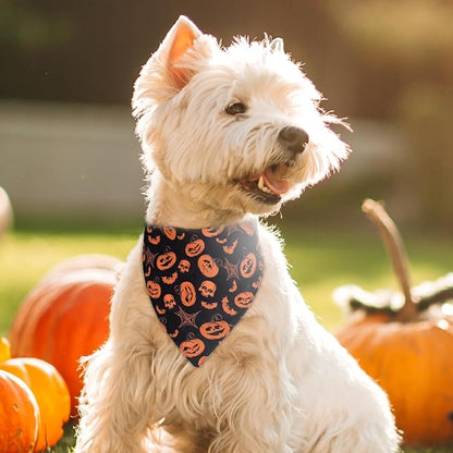 Halloween Dog Collar with Detachable Bandana
