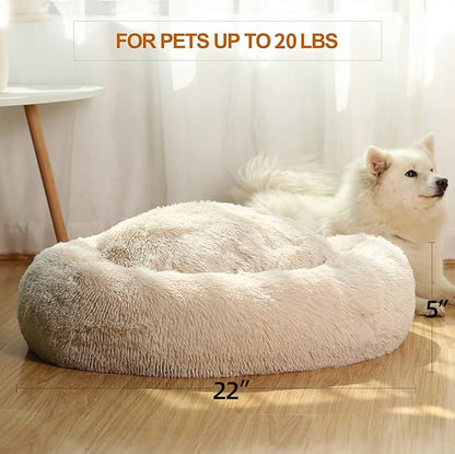 JEMA Calming Small Dog Beds for Small Dogs 22 Inch