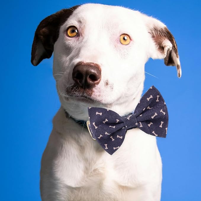Adjustable Pet Bow Tie and Dog Collar for Small Medium Large Dogs