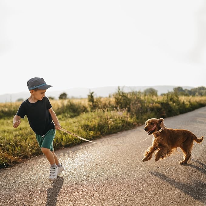 Waterproof Dog Leash Carabiner Leash for Dogs Soft 5ft*15mm*2.0mm Sand