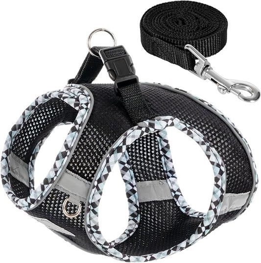 Dog Harness and Leash Set, No Pull Pet Harness for Small Dogs Easy Walking,Soft Breathable Small Dog Harness,Adjustable Reflective Step in Vest Harness for Puppy,Kitten, Cats