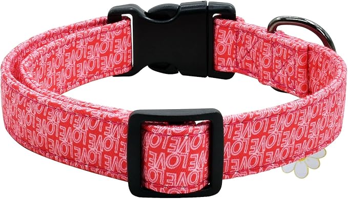 Flower Patterns Dog Collar with Accessories