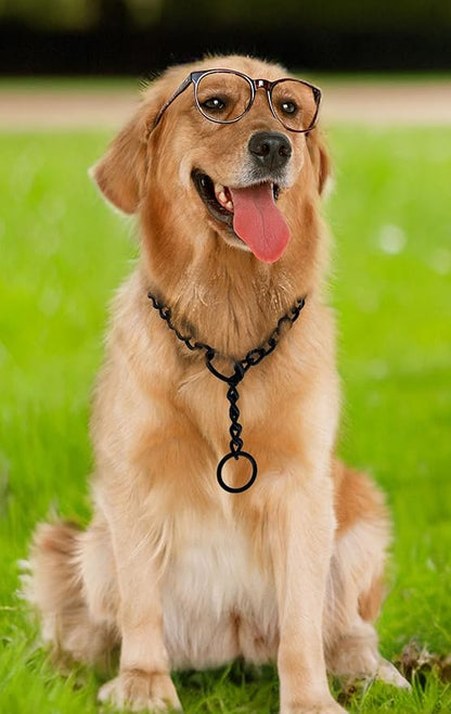 Matte Black Dog Choke Collar Slip P Chain