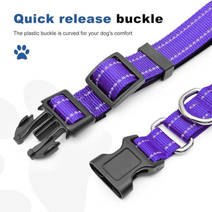 Reflective Martingale Dog Collars. Dog Collar with Quick