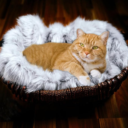 Fluffy Pet Dog Cat Bed Mat