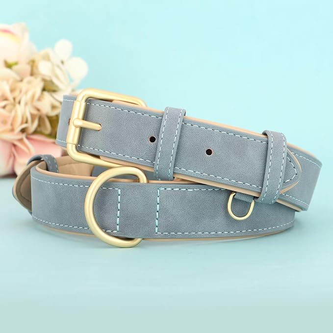 Didog Soft Padded Leather Dog Collar