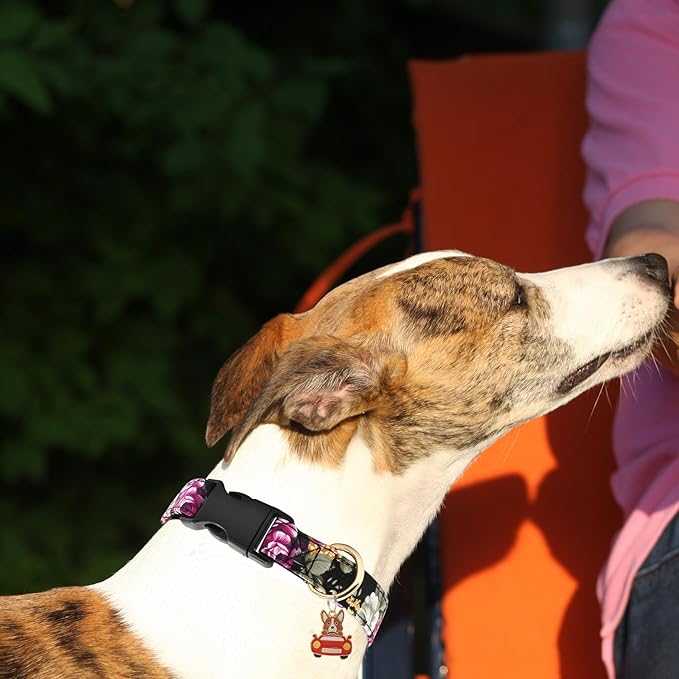 Flower Patterns Dog Collar with Accessories