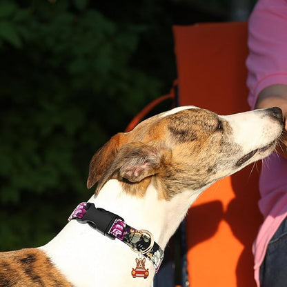 Flower Patterns Dog Collar with Accessories