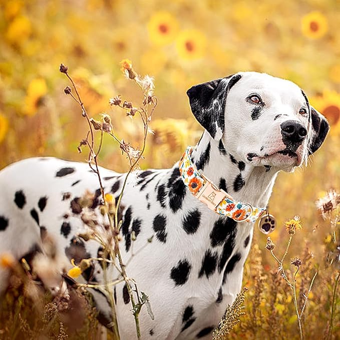 Lionheart glory Dog Collar Sunflower Print Dogs Collar