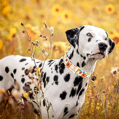 Lionheart glory Dog Collar Sunflower Print Dogs Collar