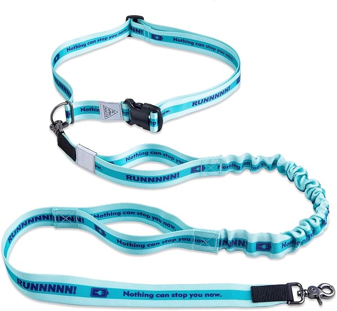 Hands Free Dog Leash with Waist Belt Lifetime Replacement 5218