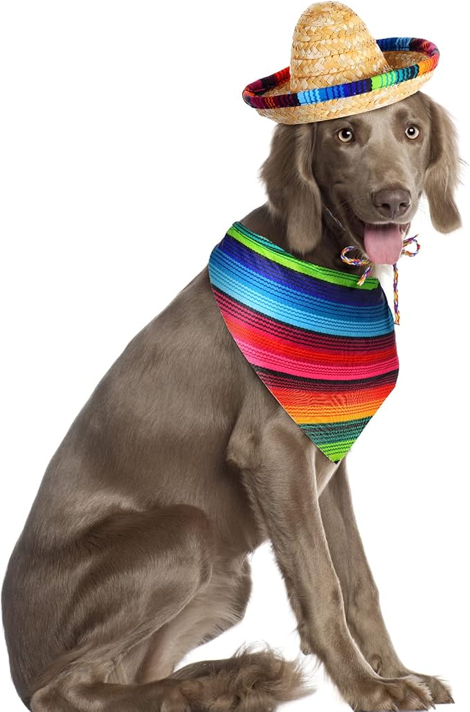 Dog Sombrero Hat Multicolor Sombrero Hats Straw Mexican