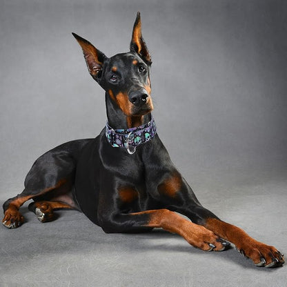 Martingale Collar 1.5 Inches Wide Dog Collar