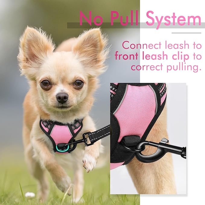 rabbitgoo Dog Harness, No-Pull Pet Harness with 2 Leash Clips, Adjustable Soft Padded Dog Vest, Reflective No-Choke Pet Oxford Vest with Easy Control Handle for Small Dogs, Pink, XS