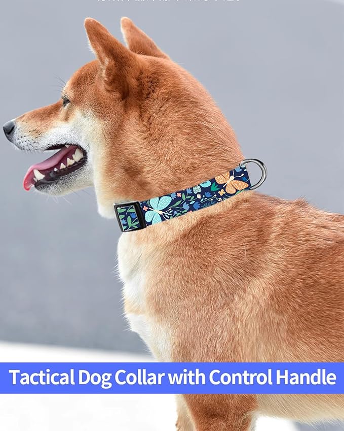Dog Collar
