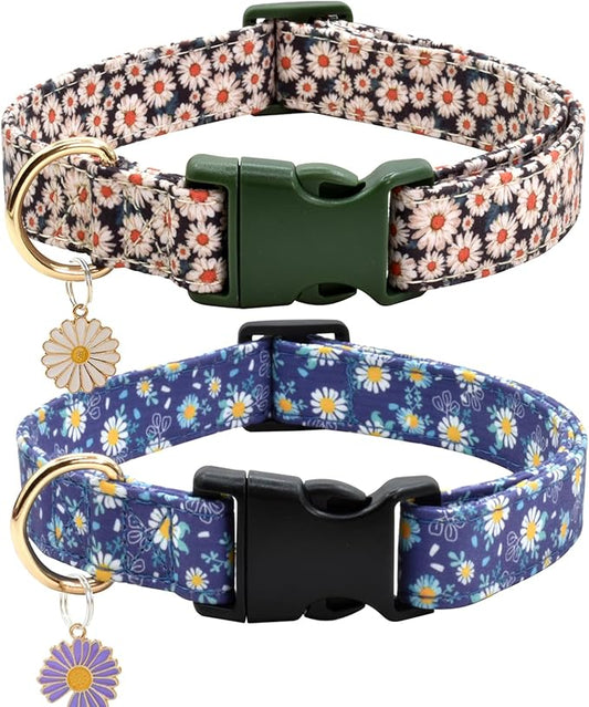 Flower Patterns Dog Collar with Accessories