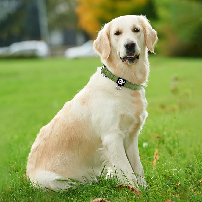 azuza Reflective Dog Collar