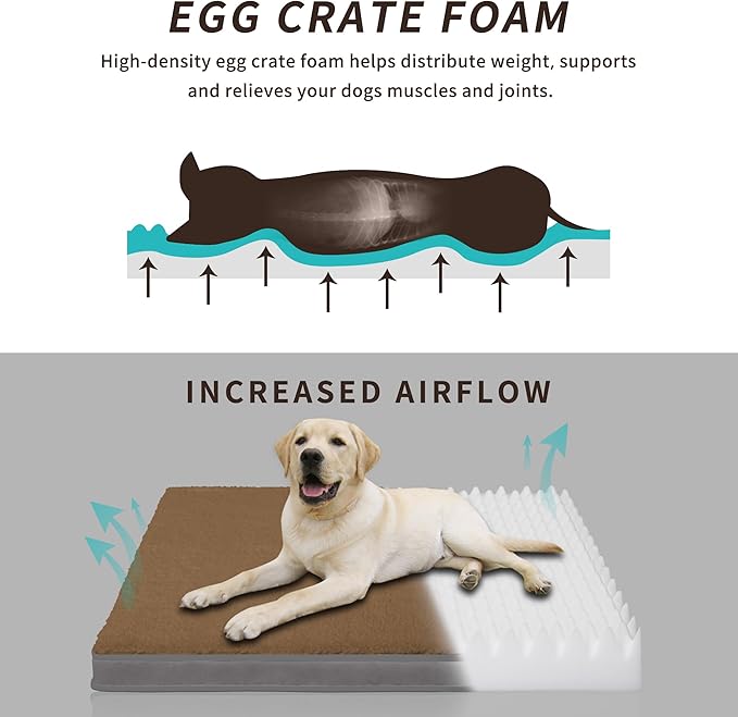 Easy-Going Dog Bed for Small Dogs (20x15x3 in,