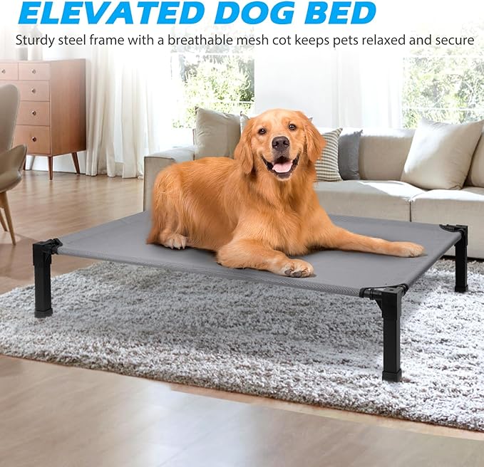 Cooling Elevated Dog Bed