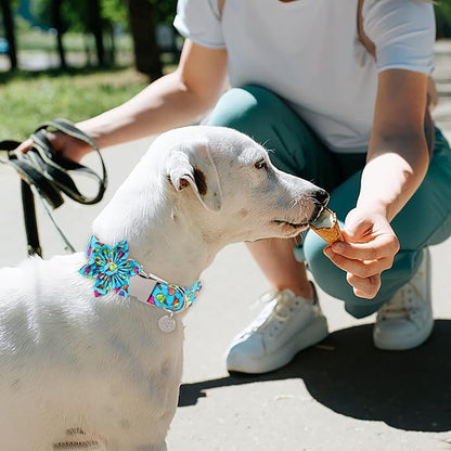 Summer Dog Collar with Flower 8-12in