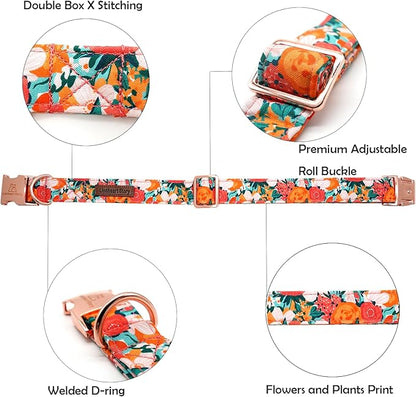Lionheart glory Premium Floral Dog Collars Spring Dog Collar