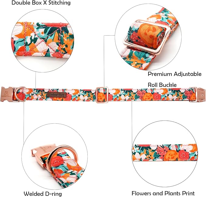 Lionheart glory Premium Floral Dog Collars Spring Dog Collar