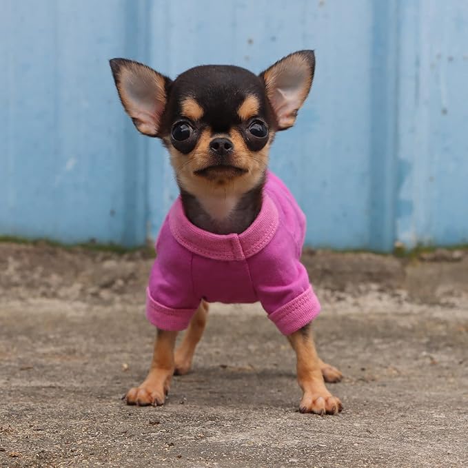 LOPHIPETS 100% Cotton Dog Tee Shirt for Small