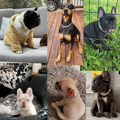 Chain Collar for Small Dogs Collar,15mm Wide (8 inch)