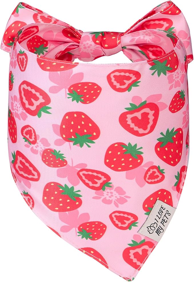 SCENEREAL Summer Dog Bandana