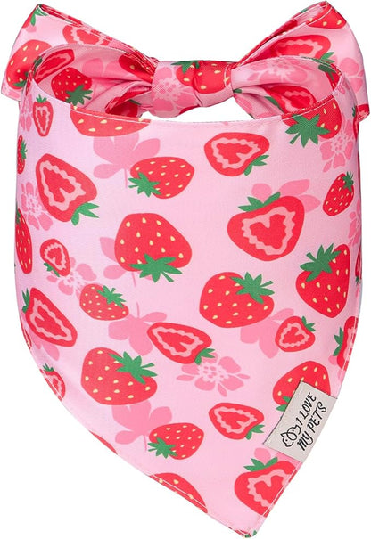 SCENEREAL Summer Dog Bandana