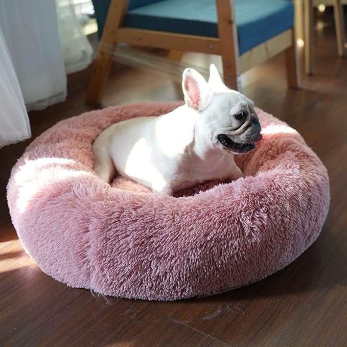 Girl Dog Bed Washable Dogs,23 inches 15 lbs