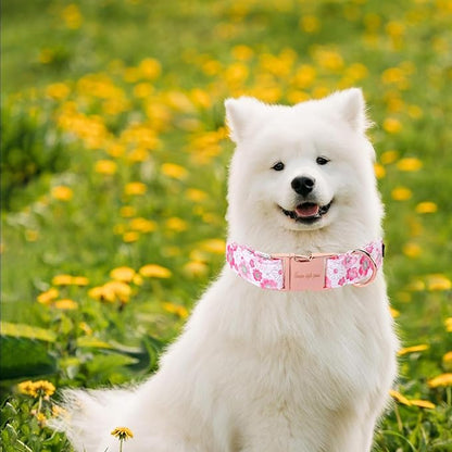 Unique Style Paws Summer Dog Collar