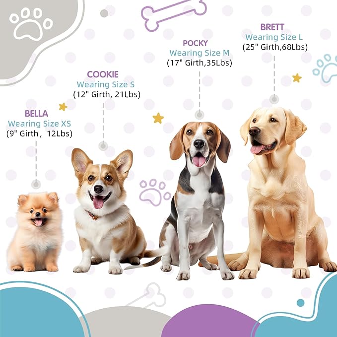 Medium Dog Harness 3/4''W x 19''-25''