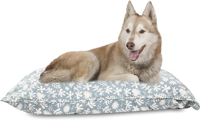 Fringe Studio Pet Bed 36 x 27 x 5 inches (225004),Large